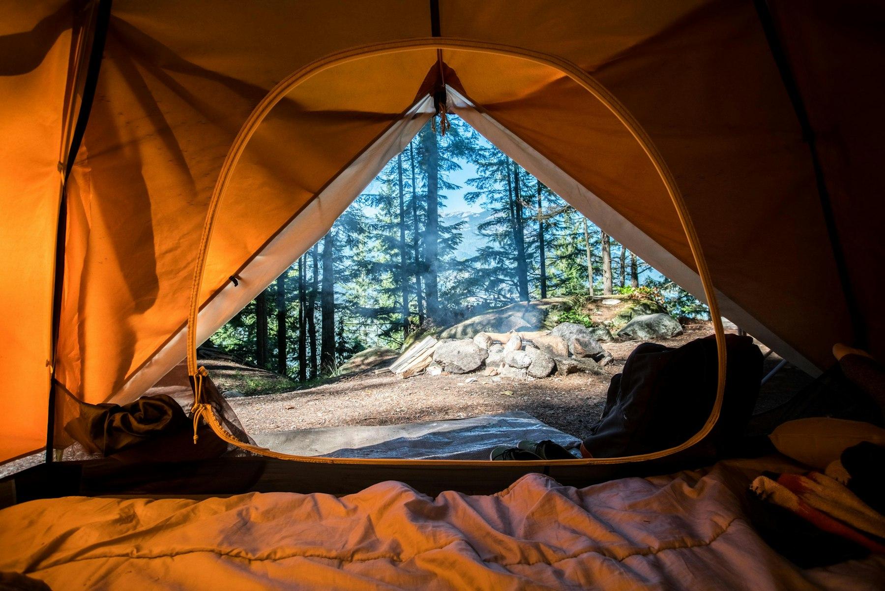 Looking out from inside a canvas tent toward trees. Stand-in photo, not the Water Valley tent.